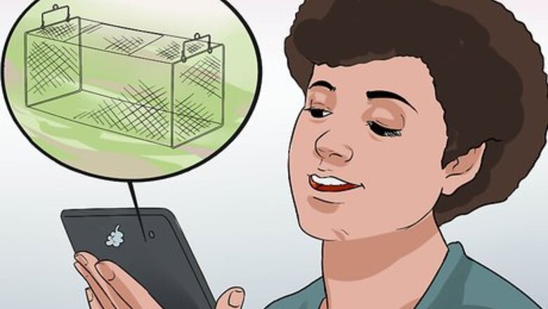 How to Trap a Mouse Without Harming It