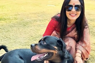 How are Dogs Registered in India? Explained Amid Mahua Moitra's Rottweiler Custody Row