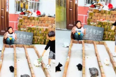 Watch: The Fable Is Now A Reality As Tortoise Beats Rabbits In A Race