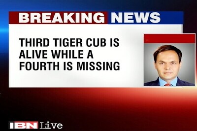 Tigress, 2 cubs poisoned to death at Pench National Park