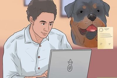 How to Care for Rottweilers