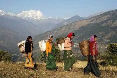 A year later, Uttarakhand's 'village of widows' struggles for survival