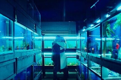 Review: 'Little Fish' Is A Pandemic-era, Sci-fi Love Story