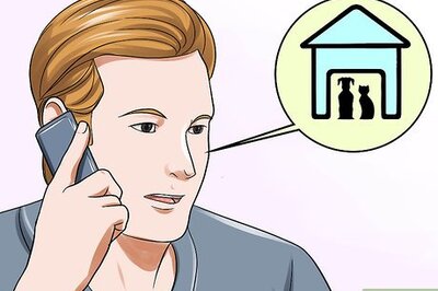 How to Report Excessive Dog Barking