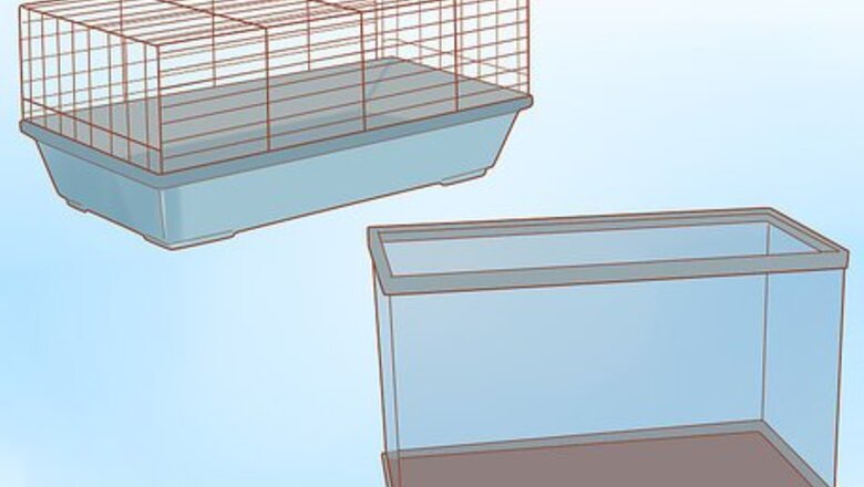 How to Introduce a New Hamster to Your Home