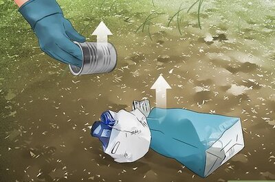 How to Keep Rats Away from Your Home