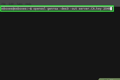How to Be Your Own Certificate Authority