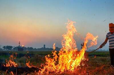 'Satellite Images in Red': NGT Pulls Up Punjab Govt Over Farm Fires