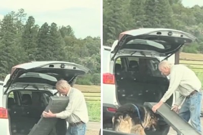 'Growing Old Together': Man Creates Ramp For His Ageing Dog In This Wholesome Video