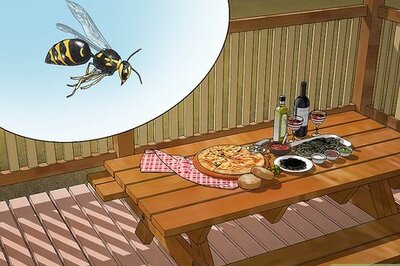 How to Keep Wasps Away from a Wood Deck