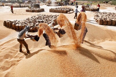 India's wheat exports hit record 7.85 million tonnes in 2021-22
