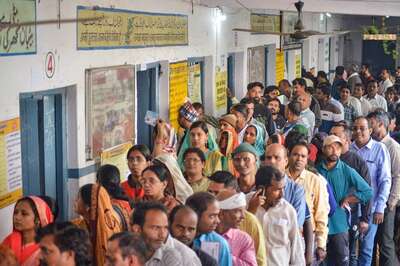 OPINION | Voter as Villain: The Unbearable Odium of The Ecosystem’s ‘Cowbelt’ Slander