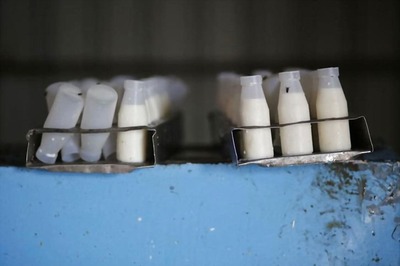 Synthetic Milk Racket Busted in MP, 62 Held for Manufacturing, Distributing to Branded Outlets