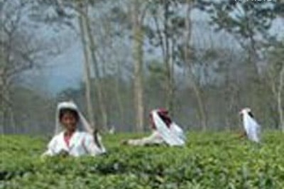 CPI-M accused of violating model code of conduct