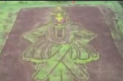 Watch: Pune Farmer Creates Majestic Portrait Of Lord Vithal Using Paddy Plantations