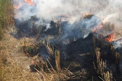 Responsible Approach Needed from Neighbouring States to Control Stubble Burning: Gopal Rai