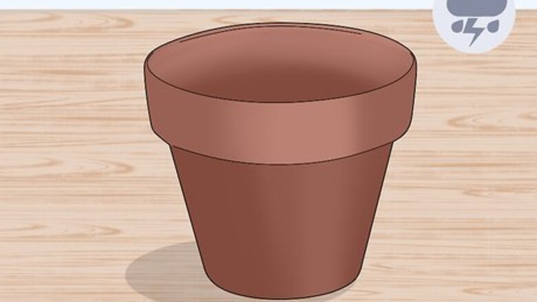 How to Care for a Bromeliad Indoors