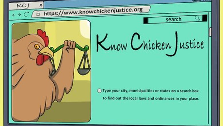 How to Take Care of Chickens