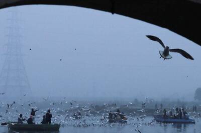 Yamuna Clean-up, Removal of Landfill Garbage Key Focus of Delhi Budget