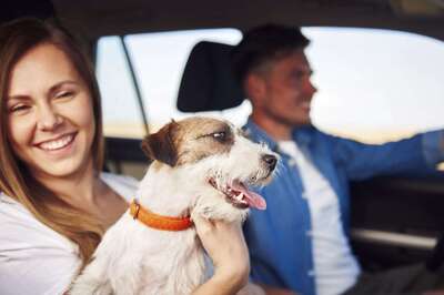 Planning A Trip With Your Pet? Things To Keep In Mind