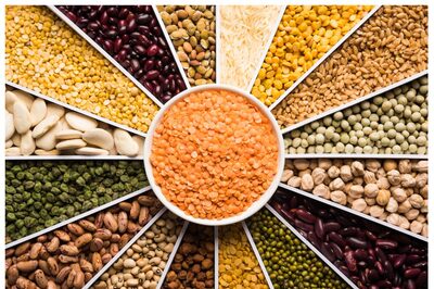World Pulses Day 2023: Which are the Top 5 Pulses Producing States in India?