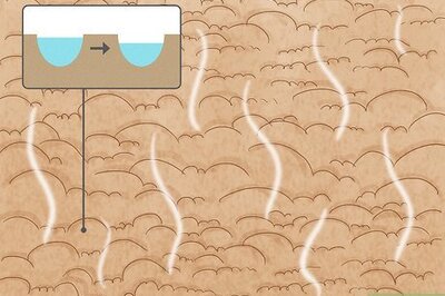 Why Does Your Soil Smell Like Ammonia? How to Fix Smelly Soil