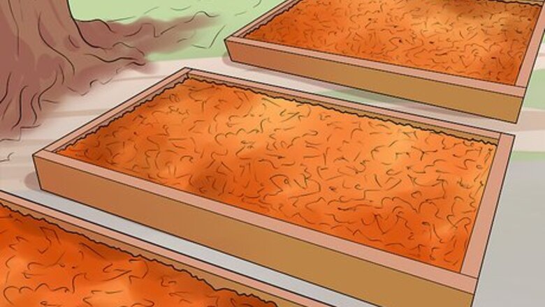 How to Deal with Autumn Leaves