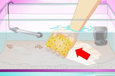 How to Clean Aquarium Glass