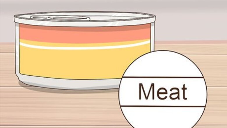 How to Take Care of a Burmilla Cat