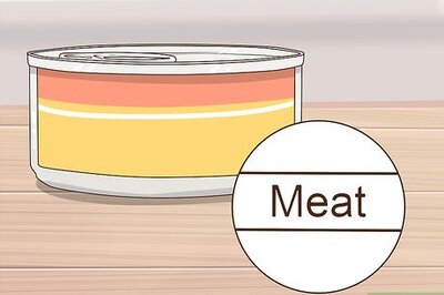 How to Take Care of a Burmilla Cat