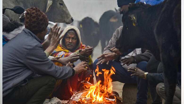 Weather Updates: Amid Biting Cold, Rain Likely in Delhi on Jan 12, 13; Dense Fog Delays Flights, Trains