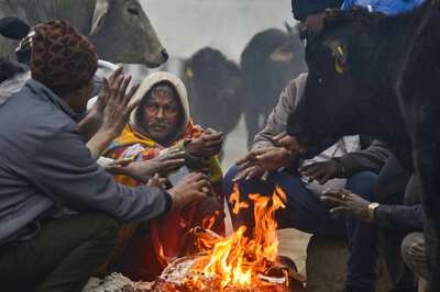 Weather Updates: Amid Biting Cold, Rain Likely in Delhi on Jan 12, 13; Dense Fog Delays Flights, Trains