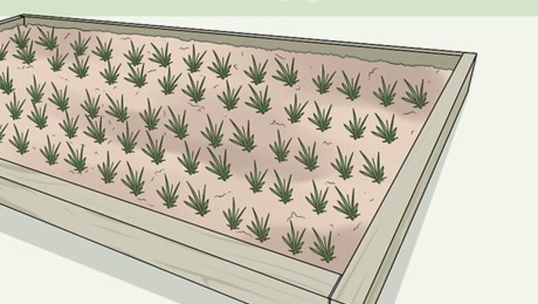 How to Use Horticultural Fleece