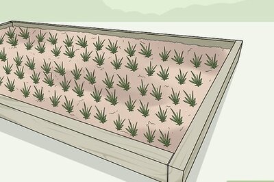 How to Use Horticultural Fleece