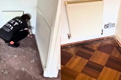 Couple Hit a Jackpot During House Renovation, Here's What They Found Underneath An Old Carpet