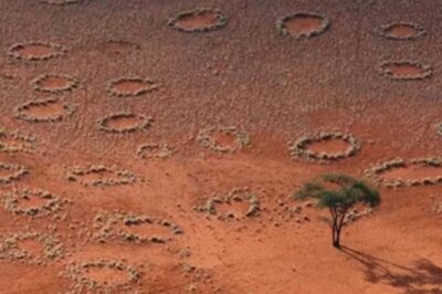 Mysterious 'Fairy Circles' Found in Australia And Africa Now Discovered in 250 New Locations