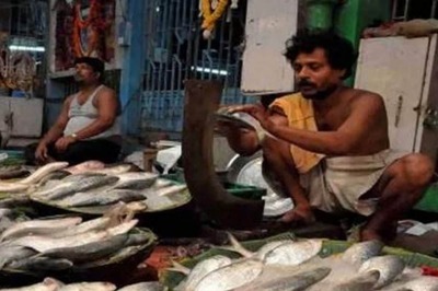 After a Long Wait, Bangladeshi Hilsa Hits Kolkata Markets, Festive Mood for Bengali Begins