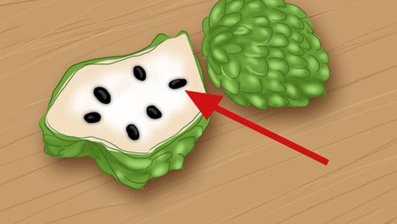 How to Get Rid of Lice Using Custard Apple Seed Paste