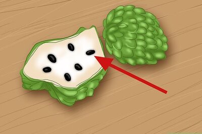 How to Get Rid of Lice Using Custard Apple Seed Paste