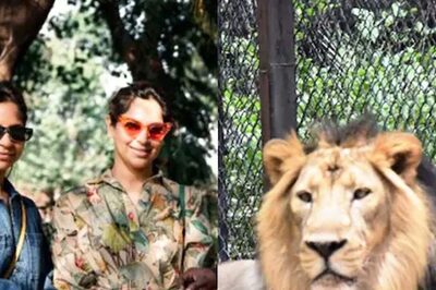 Ram Charan’s Wife Upasana Adopts 2 Lion Cubs, Names Them Vicky, Lakshmi