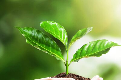 World Nature Conservation Day: How Corporate India is Learning to Become Eco-conscious