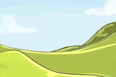 How to Get a Land Survey