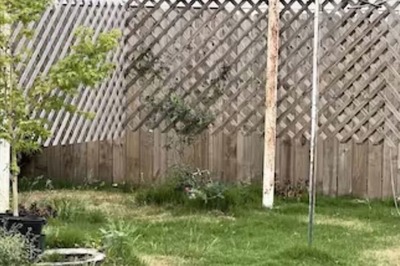 Optical Illusion: Spot The Hidden Animal In This Garden; You've 12 Seconds