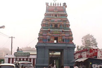 Temple plant blooms every 12 yrs