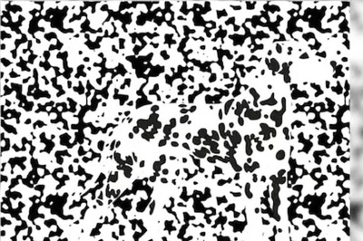 Spot The Hidden Animal In This Image. You Have 10 Seconds