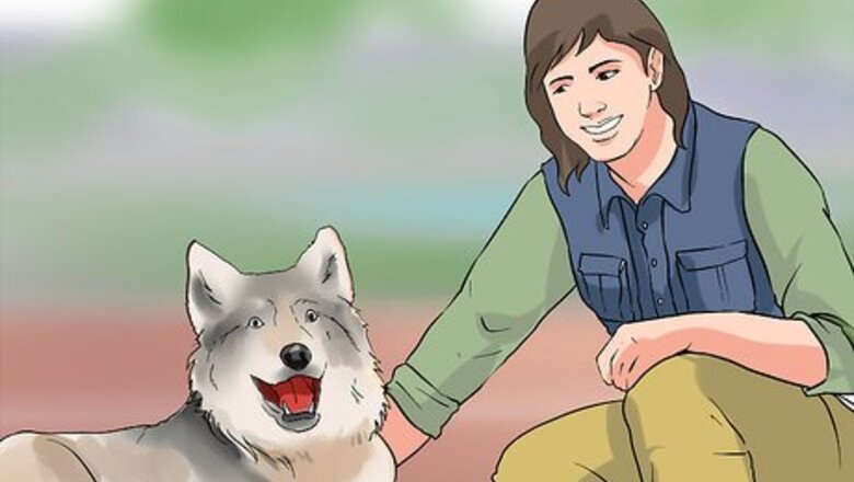 How to Take Action to Save Wolves