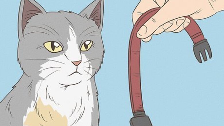 How to Remove Paint from a Cat's Fur
