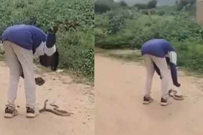 Drunk Man Tries To Play With Cobra In Andhra Pradesh, Lands In Hospital