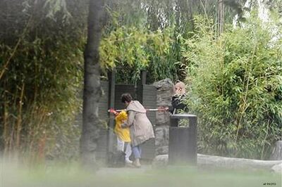 Man eaten alive by tigers in Denmark zoo