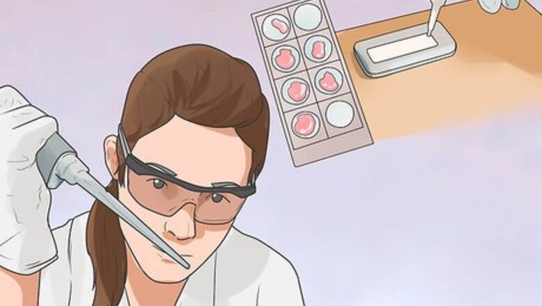 How to Treat Hypothyroidism in Golden Retrievers